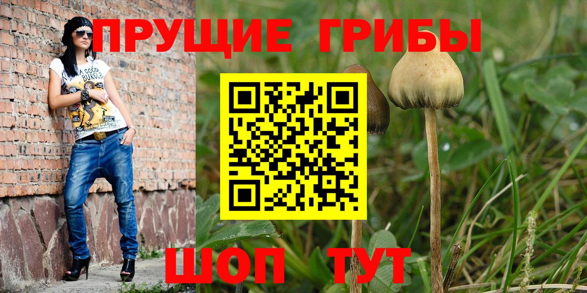 Галлюциногенные грибы Cubensis Сердобск