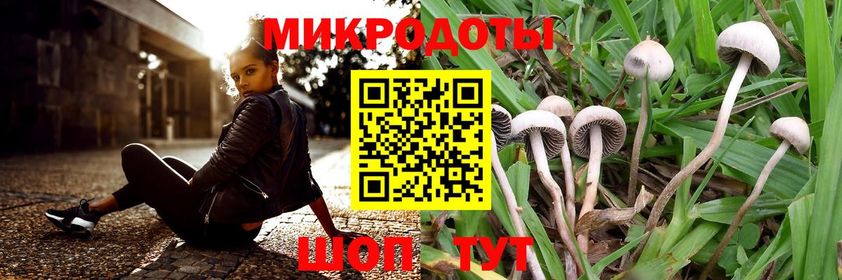 Псилоцибиновые грибы MAGIC MUSHROOMS  Вход с VPN  как найти наркотики  Сердобск 